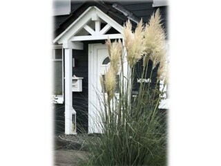 Holiday house Duhnen Outdoor Recording 32