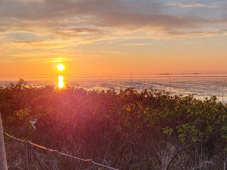 Holiday house Duhnen Outdoor Recording 17