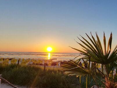 Ms Susanne Oberdieck