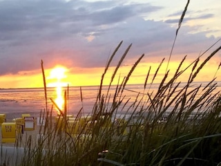 Trauhafte Sonnenuntergänge im eigenen Strandkorb