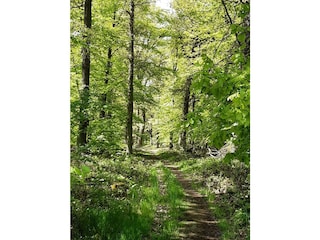 Apartment Euskirchen Outdoor Recording 26