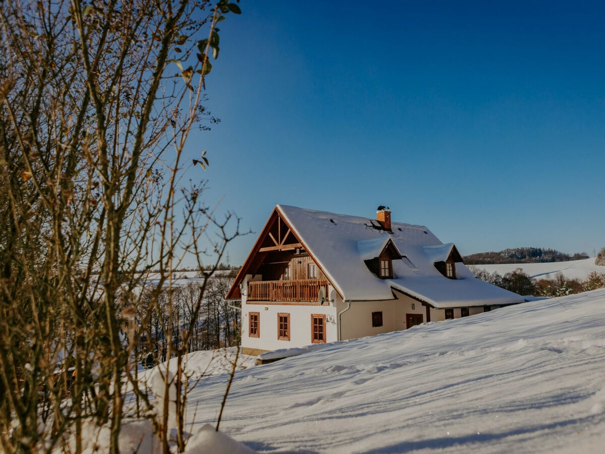 Villa Stupna Außenaufnahme 13