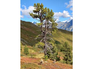 Casa per le vacanze Weißpriach Ambiente 30