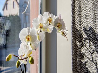 Casa de vacaciones Ratzwiller  36