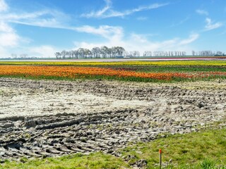 Vakantiehuis Sint-Maartensdijk Omgeving 27