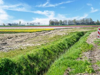 Maison de vacances Sint-Maartensdijk Environnement 36
