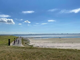 Maison de vacances Sint-Maartensdijk Environnement 32