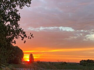 Holiday house Sint-Maartensdijk Environment 32