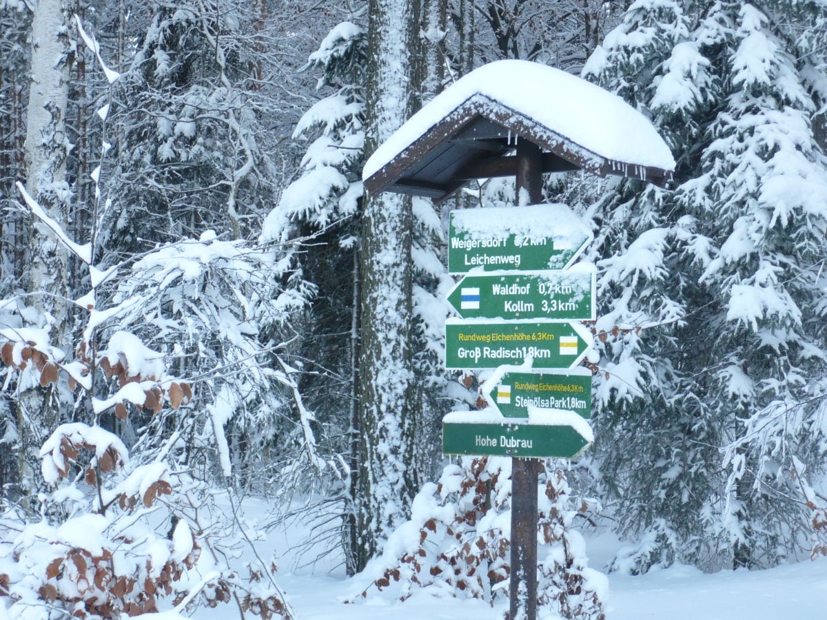 Im schönen Winterwald