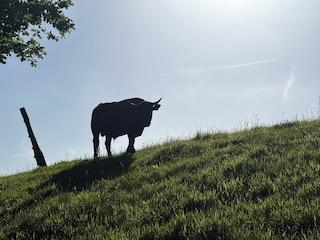 Blick aus dem Wohnzimmer