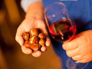 Casa per le vacanze Eppan Ambiente 17