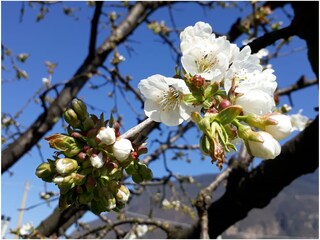 Casa per le vacanze Eppan Ambiente 18