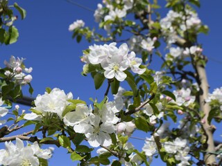 Casa per le vacanze Eppan Ambiente 19
