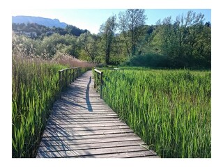 Casa per le vacanze Eppan Ambiente 20