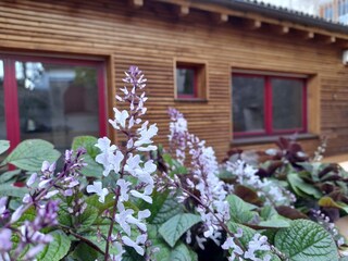 Casa per le vacanze Eppan Registrazione all'aperto 5