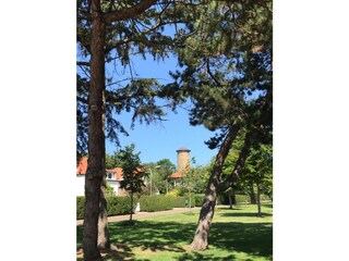 Casa per le vacanze Domburg Ambiente 13