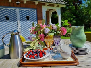 Sommergenuß im Garten