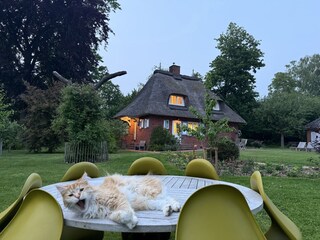 Maison de vacances Hohwacht Enregistrement extérieur 8