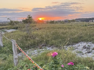 wunderschöne Spazier- und Wanderwege