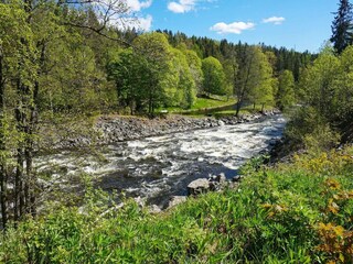 Vakantiehuis Schweden  12