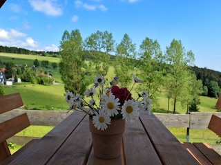 Holiday house Masserberg  36