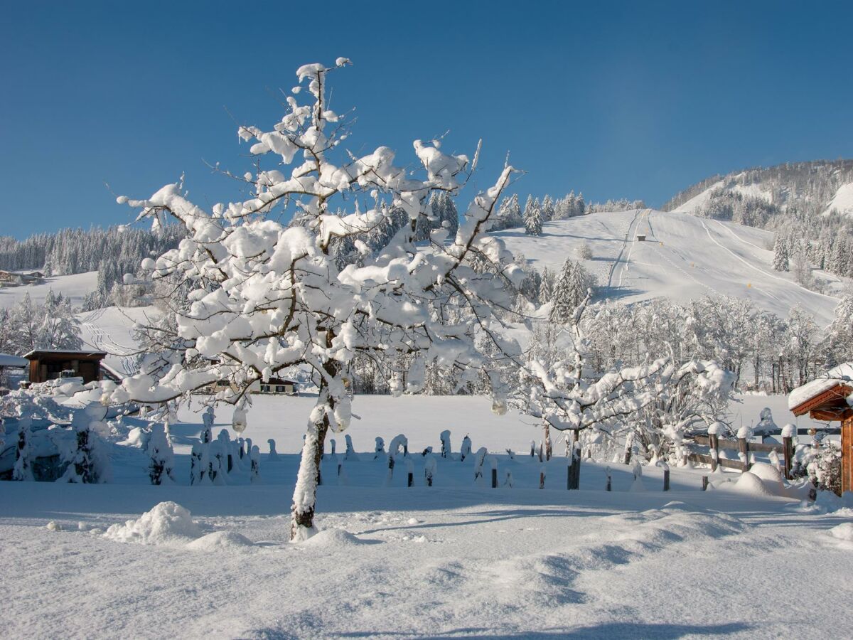 Das Glaagut - Ausblick auf die Skipiste