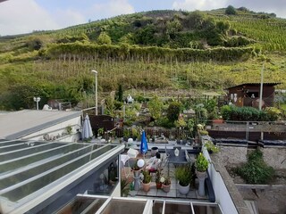 Apartamento Zell Mosel Grabación al aire libre 9