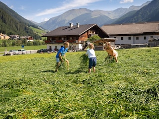Frische Luft