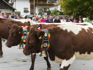 Almabtrieb