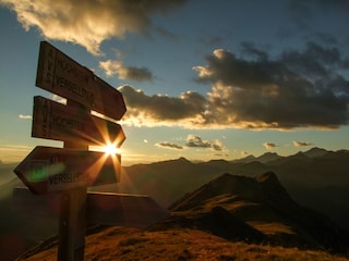 Wanderungen in der Umgebung