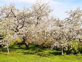 Ferienhaus Blaksæter Außenaufnahme 8
