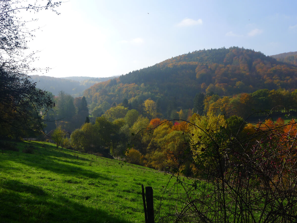 Blick auf Jaegerthal