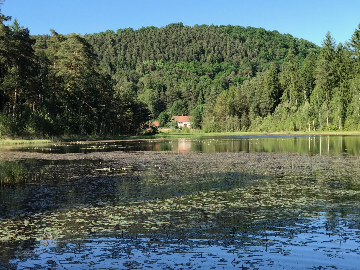 ein Idyll, inmitten der Natur