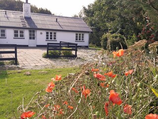 Ferienhaus Løkken Außenaufnahme 1