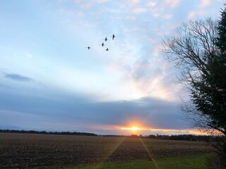 Ferienhaus Løkken  21