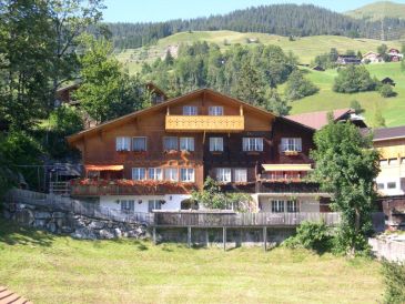 Ferienwohnung Naegeliplatte
