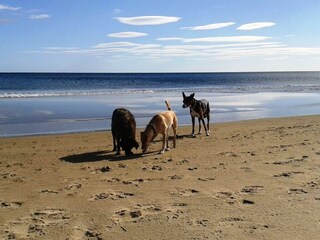 Holiday house Narbonne-Plage Environment 26