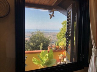 Blick aus dem Fenster am Morgen.