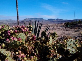 Bungalow Costa Calma Ambiente 14