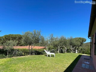 Apartment Capoliveri Outdoor Recording 3