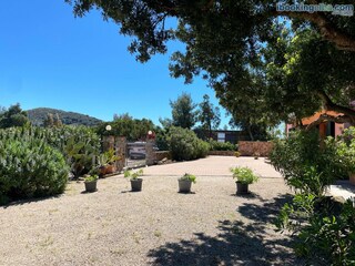 Appartement Capoliveri  52
