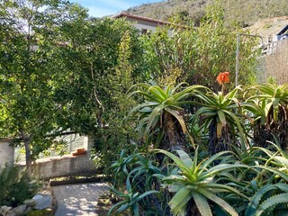 Villa Biodola Registrazione all'aperto 12