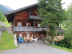 Apartment Unterbrunnhaus, Ferienhaus - Mayrhofen - image1