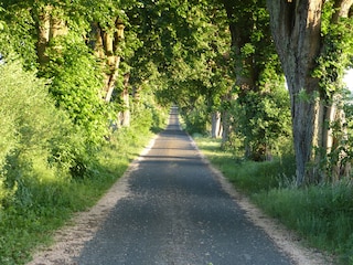 Fahrradweg im Naturpark