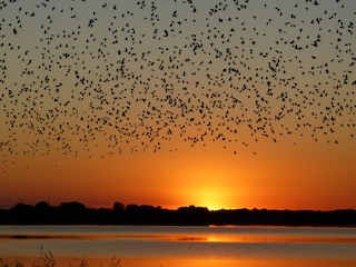 Abendstimmung am Mechower See