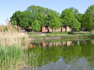 Frühlingserwachen am Ziethener Dorfteich