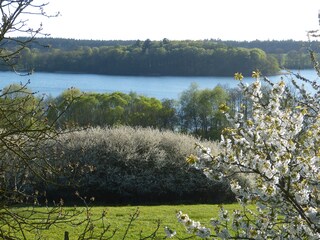 Frühlingsblick auf den Schaalsee