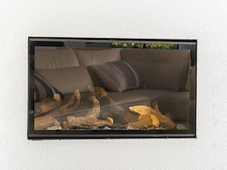 Ferienhaus Biddinghuizen  33