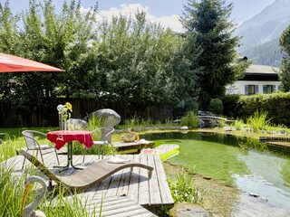 free use - swimming pond with sunbathing lawn