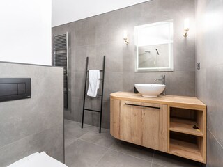 Villa Brtonigla Caratteristiche 20